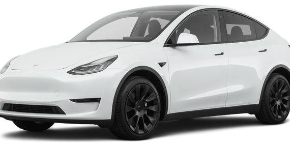 TESLA MODEL Y 2020 5YJYGDEE1LF037428 image